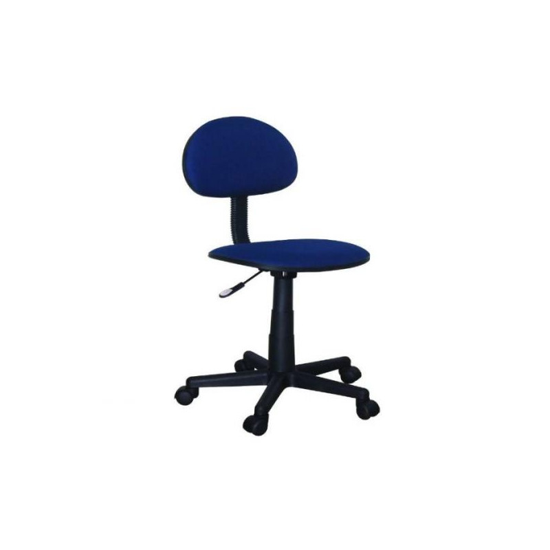 Computer Chair (Blue)